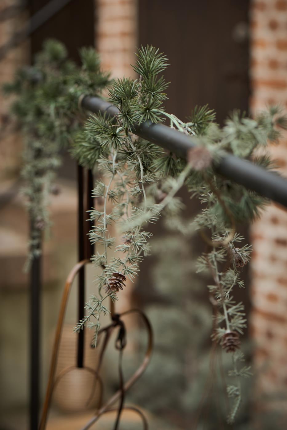 Cederranke m/ kogler fra Ib Laursen